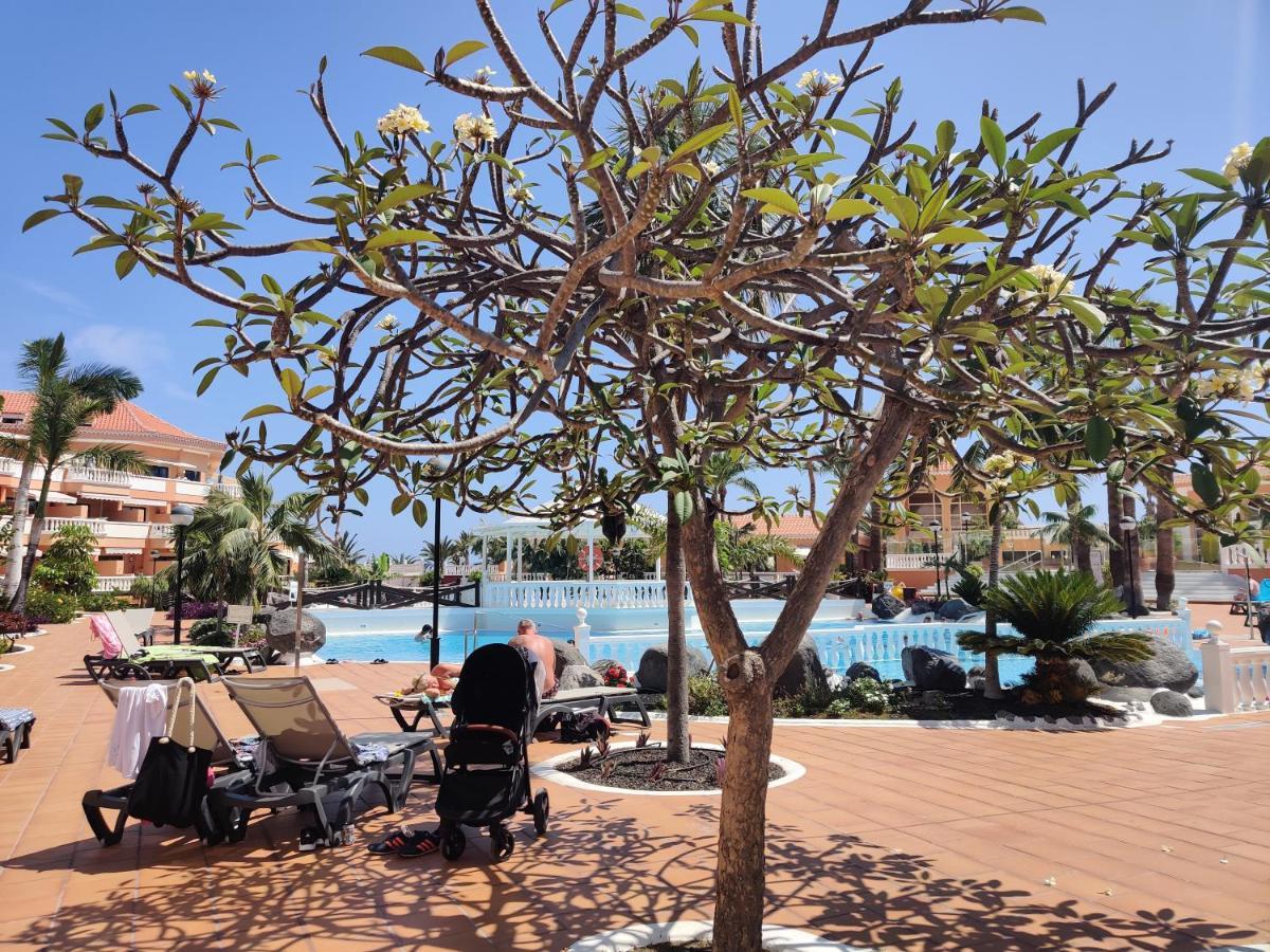 Seafront Royal Garden Mile Διαμέρισμα Πλάγια ντε λας Αμέρικας Εξωτερικό φωτογραφία